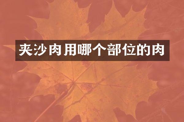 夹沙肉用哪个部位的肉