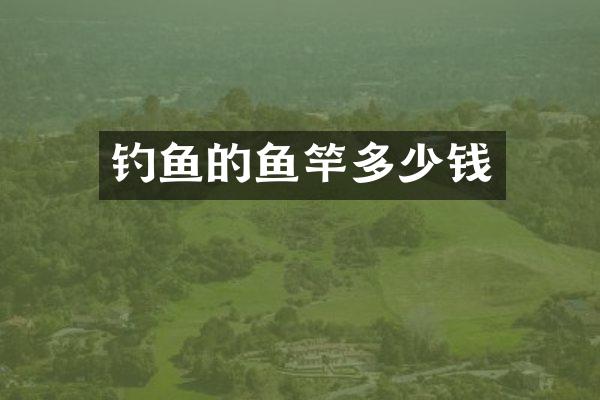 钓鱼的鱼竿多少钱