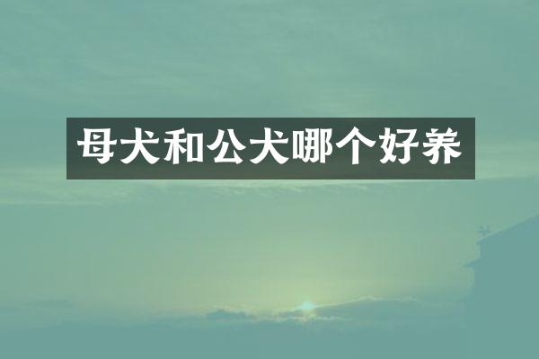 母犬和公犬哪个好养