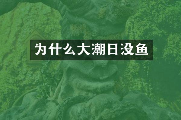 为什么大潮日没鱼