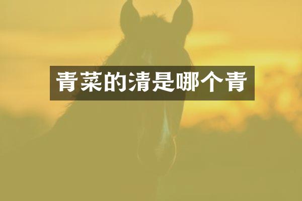 青菜的清是哪个青