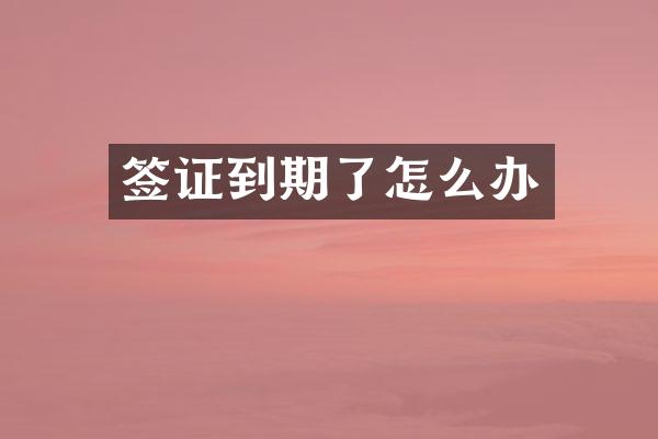 签证到期了怎么办