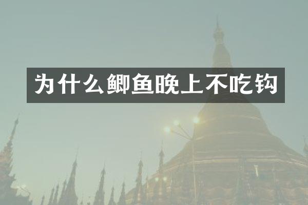 为什么鲫鱼晚上不吃钩