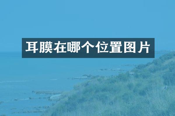 耳膜在哪个位置图片