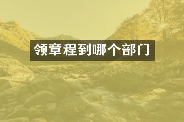 领章程到哪个部门