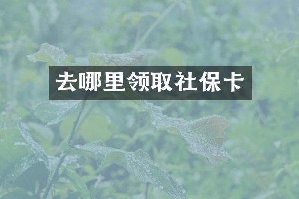 去哪里领取社保卡