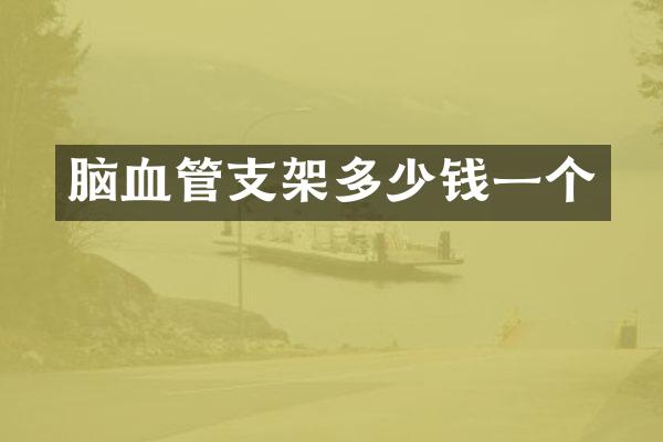 脑血管支架多少钱一个