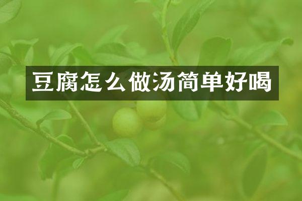 豆腐怎么做汤简单好喝