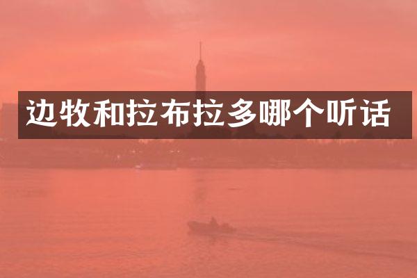 边牧和拉布拉多哪个听话