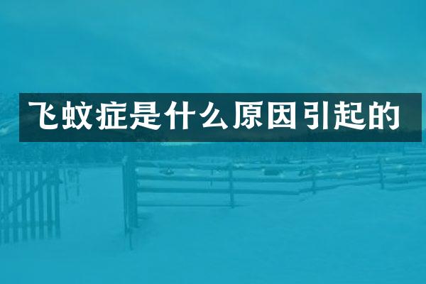 飞蚊症是什么原因引起的