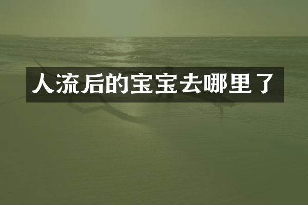 人流后的宝宝去哪里了