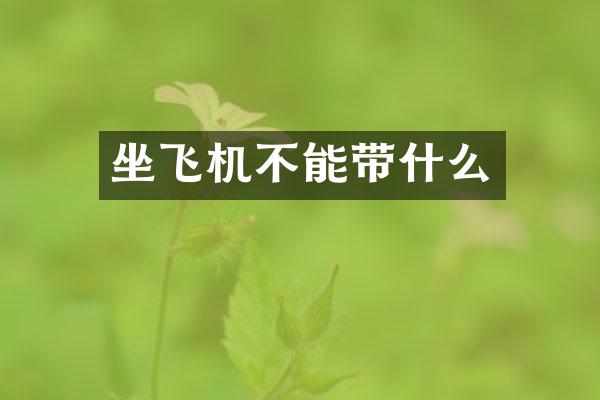 坐飞机不能带什么