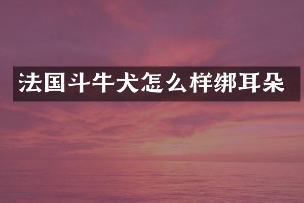 法国斗牛犬怎么样绑耳朵