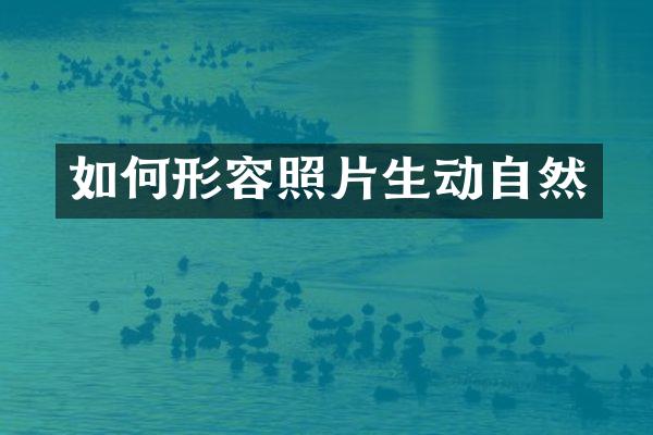 如何形容照片生动自然