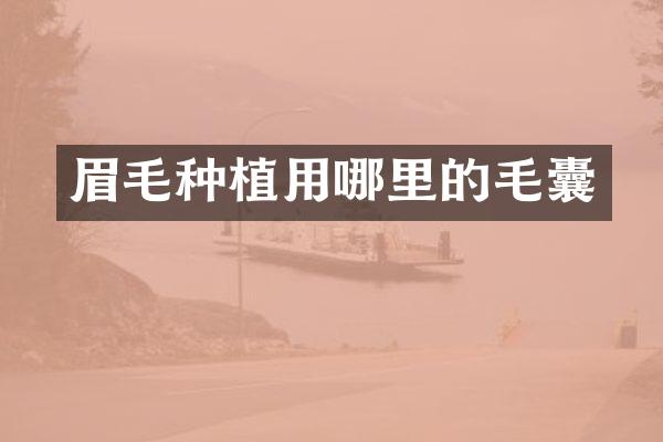 眉毛种植用哪里的毛囊