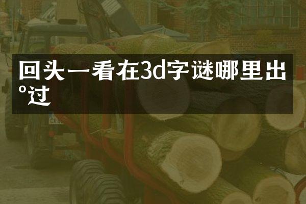 回头一看在3d字谜哪里出现过