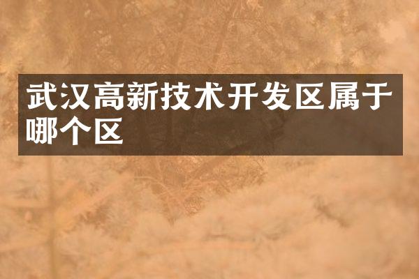 武汉高新技术开发区属于哪个区