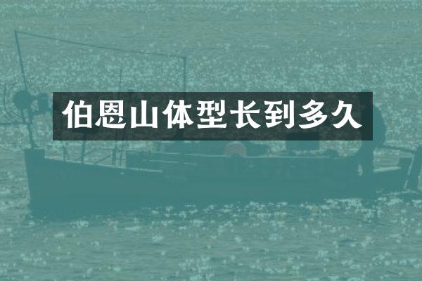 伯恩山体型长到多久