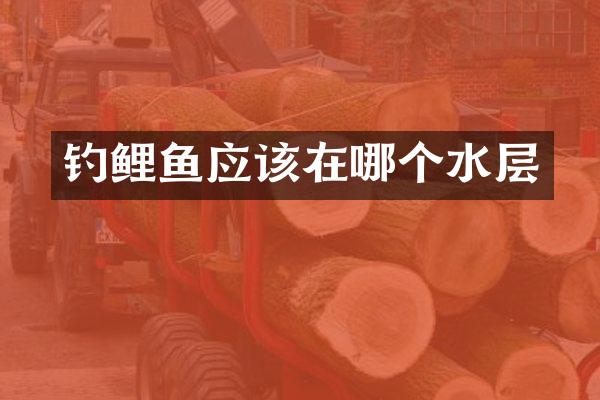 钓鲤鱼应该在哪个水层