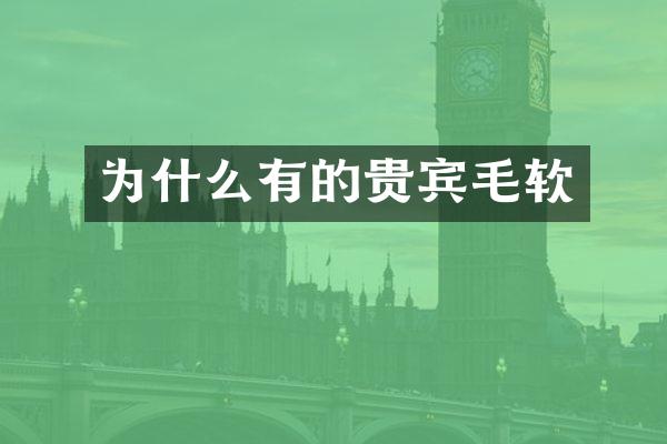 为什么有的贵宾毛软