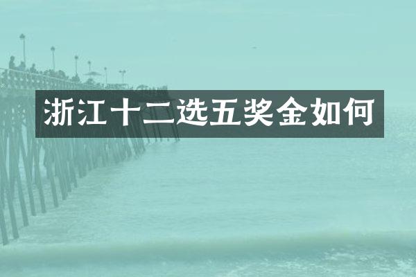 浙江十二选五奖金如何