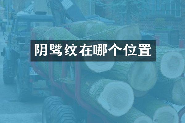 阴骘纹在哪个位置