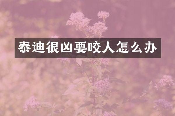 泰迪很凶要咬人怎么办