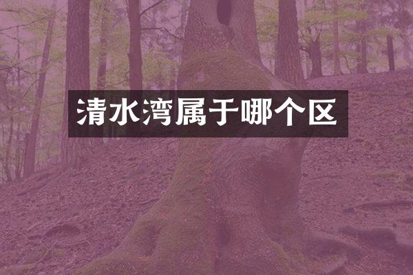 清水湾属于哪个区