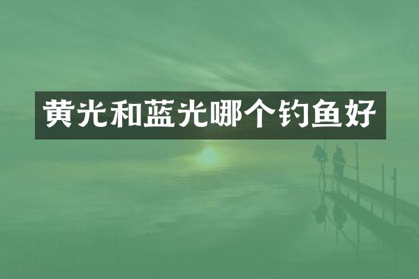 黄光和蓝光哪个钓鱼好