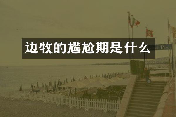 边牧的尴尬期是什么