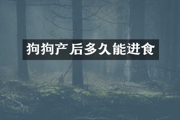 狗狗产后多久能进食