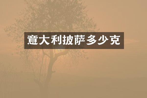 意大利披萨多少克