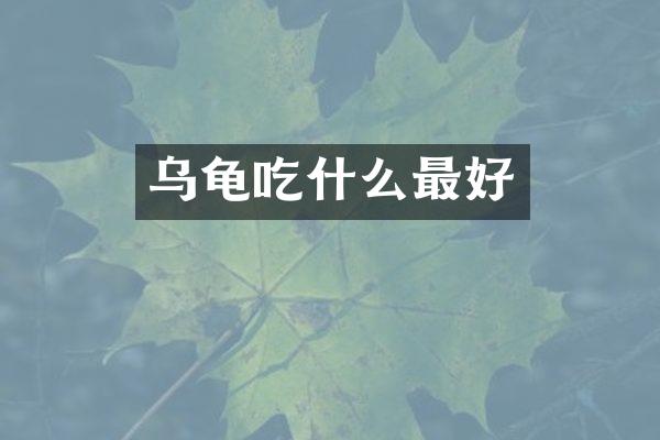乌龟吃什么最好