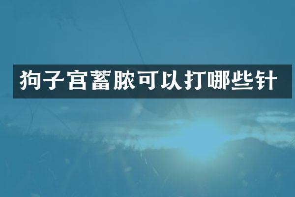 狗子宫蓄脓可以打哪些针