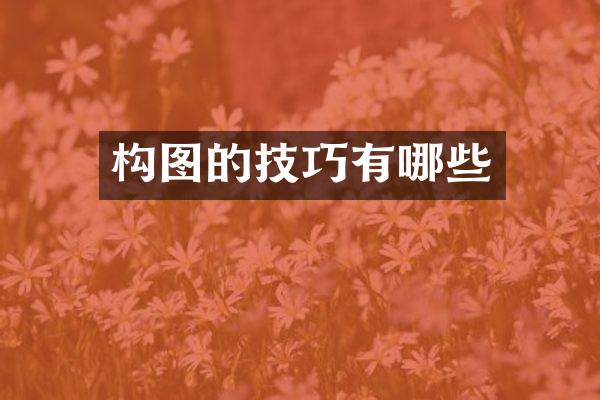 构图的技巧有哪些