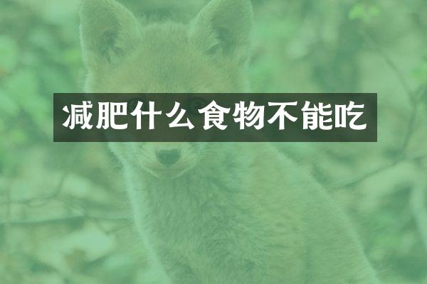 减肥什么食物不能吃