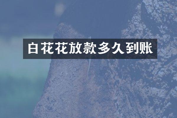 白花花放款多久到账