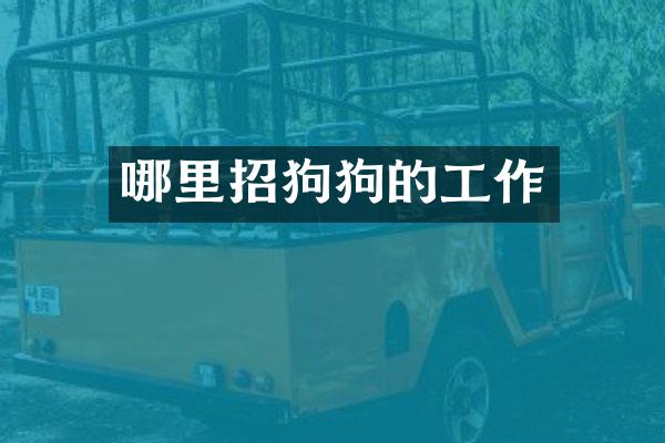 哪里招狗狗的工作