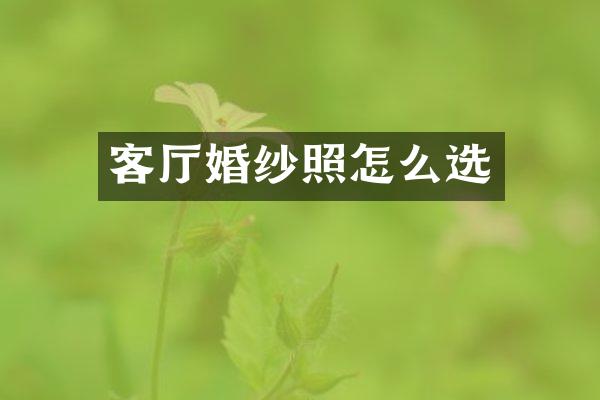 客厅婚纱照怎么选