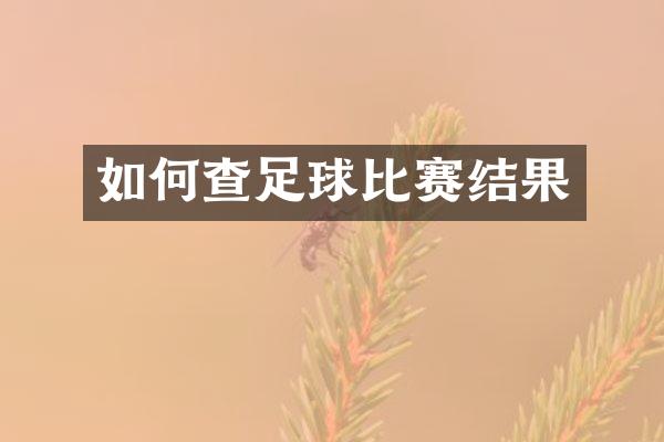 如何查足球比赛结果
