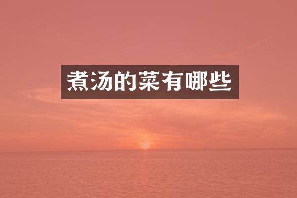 煮汤的菜有哪些