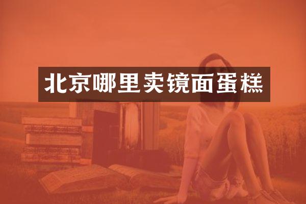 北京哪里卖镜面蛋糕