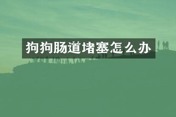 狗狗肠道堵塞怎么办