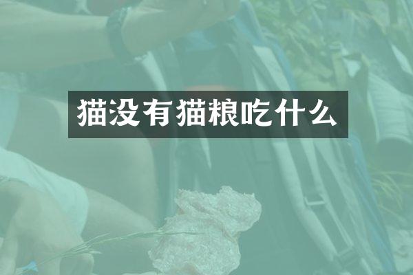 猫没有猫粮吃什么