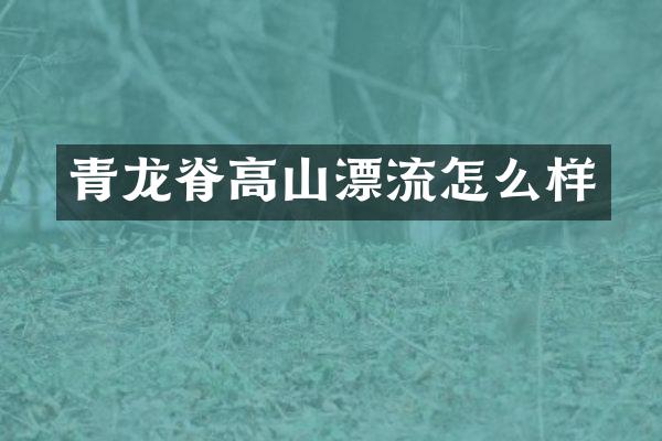 青龙脊高山漂流怎么样