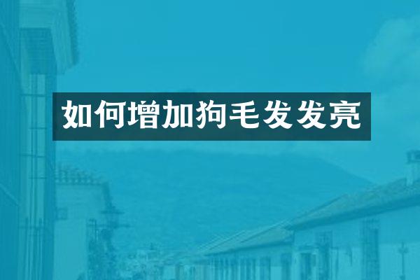 如何增加狗毛发发亮