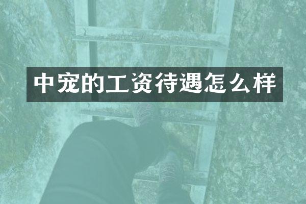 中宠的工资待遇怎么样