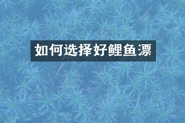 如何选择好鲤鱼漂