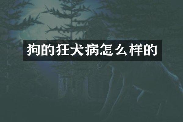 狗的狂犬病怎么样的