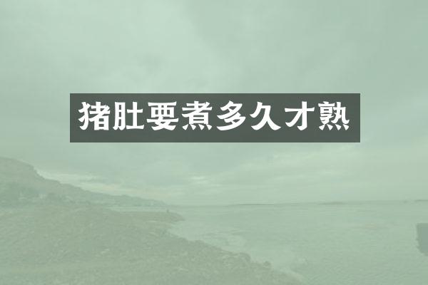 猪肚要煮多久才熟